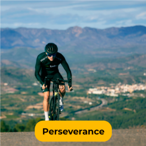 Perseverance